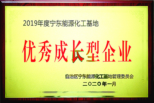 2019年度宁东能源化工基地优秀成长型企业