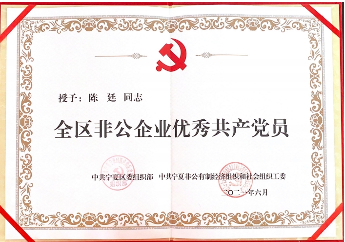 陈廷同志荣获全区非公企业优秀共产党