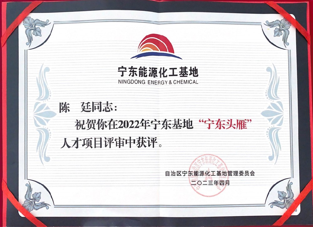 陈廷同志荣获宁东能源化工基地“宁东头雁”