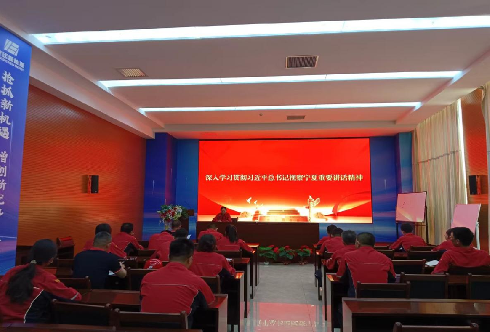 砥砺前行 再建新功 | 宝廷新材料党总支深入学习贯彻习近平来宁视察重要讲话精神