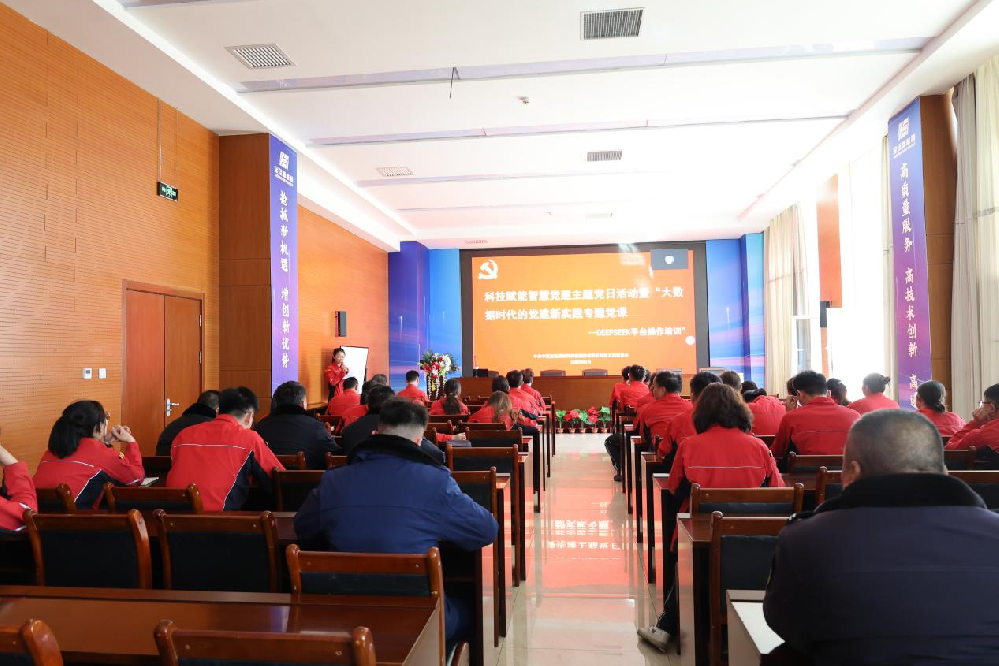 宝廷新材料党总支举办“科技赋能智慧党建”主题党日活动暨“大数据时代的党建新实践——DEEPSEEK平台操作培训”专题党课