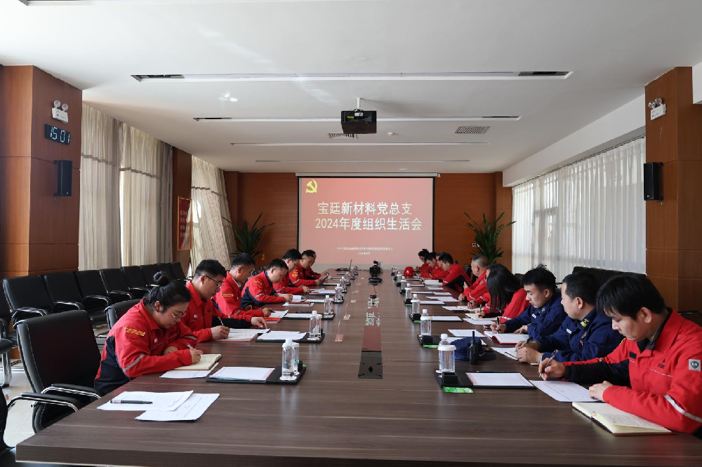 宝廷新材料党总支召开2024年度 组织生活会和民主评议党员大会
