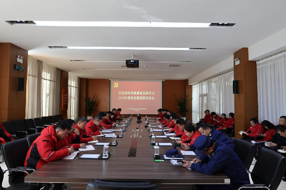 2024年度宝廷新材料党支部书记 抓基层党建工作述职评议会