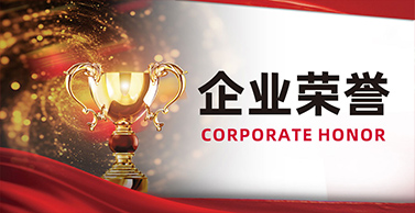 宁夏宝廷新材料科技股份有限公司