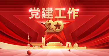 宁夏宝廷新材料科技股份有限公司
