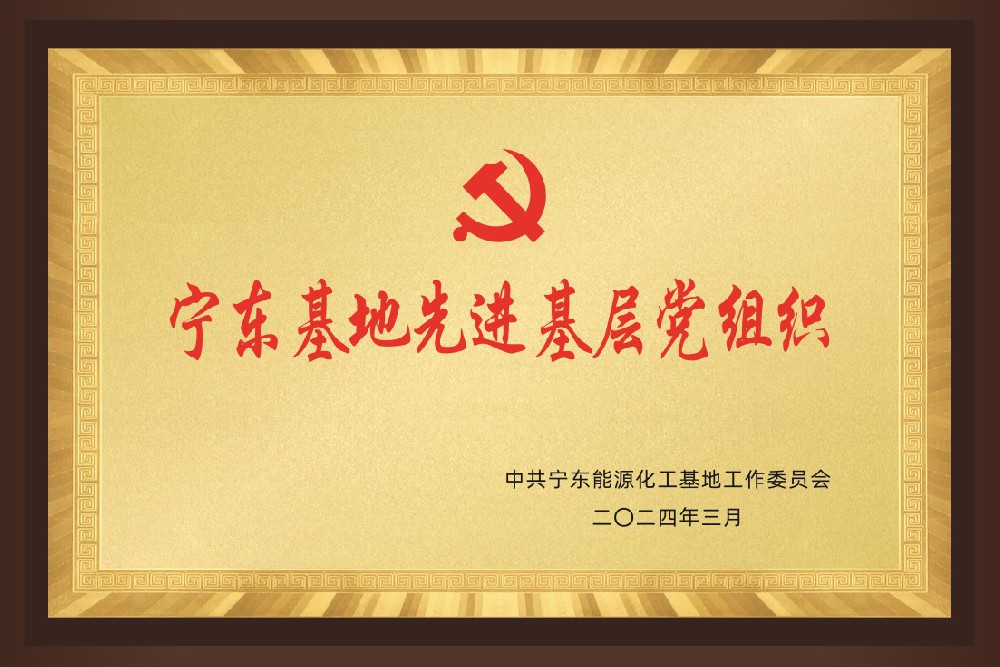 宁东基地现金基层党组织