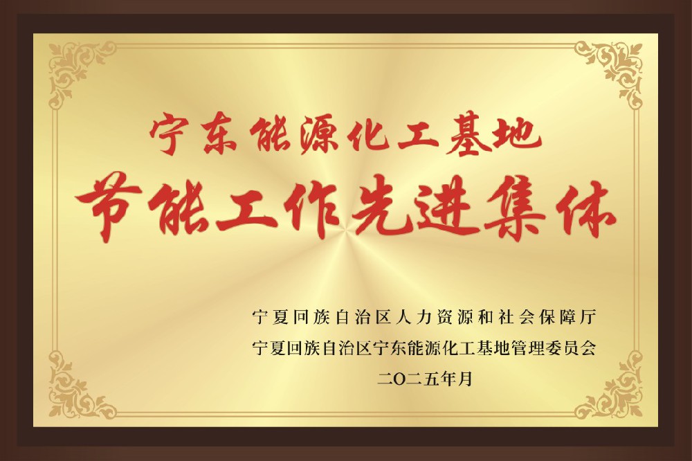 宁东能源化工基地节能工作先进集体