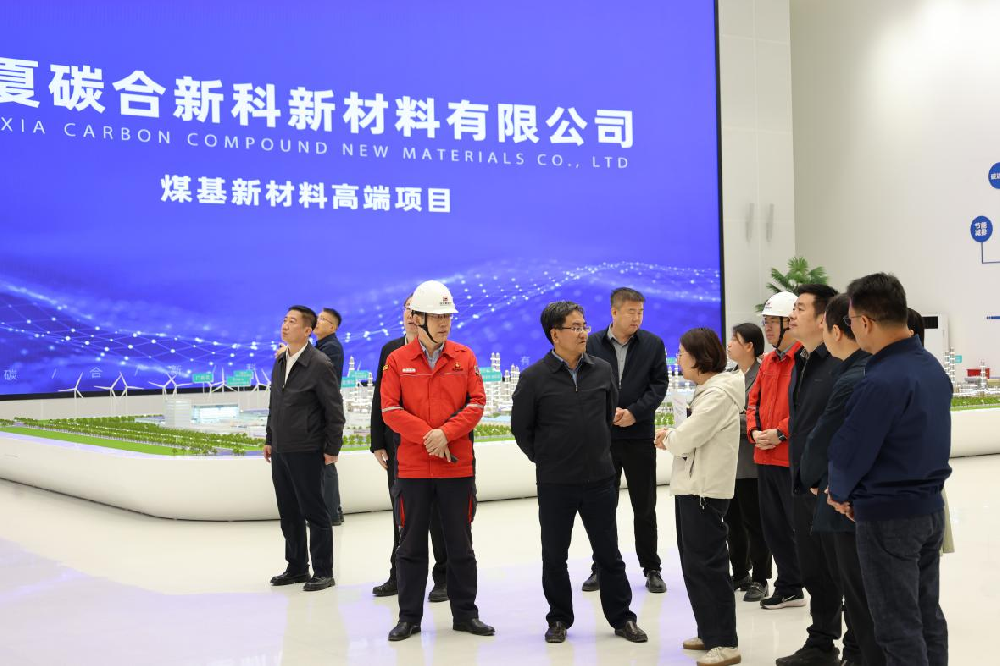 自治区政协领导一行赴宝廷新材料开展考察调研