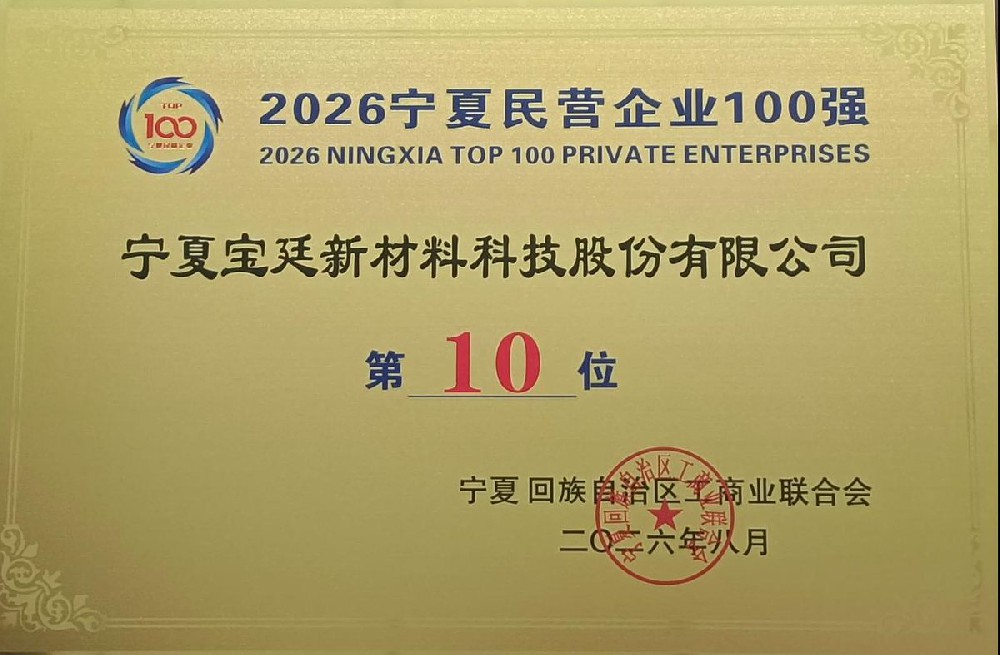 奋进新征程 谱写新篇章 | 宝廷新材料荣登2026宁夏民营企业100强、制造业民营企业100强双榜单
